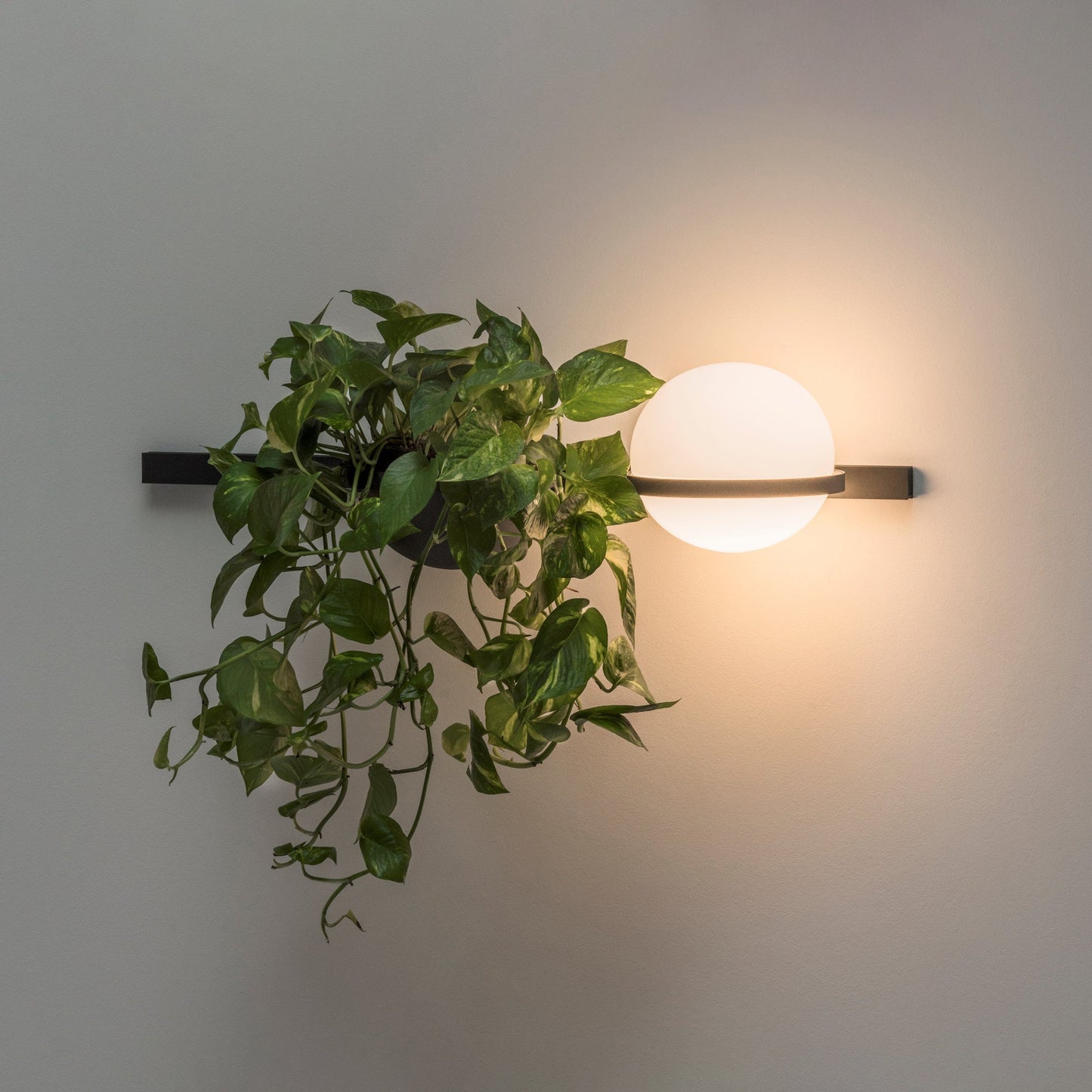Solstice Buiten Wandlamp